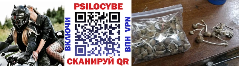 цены   Нахабино  darknet официальный сайт  Галлюциногенные грибы Psilocybine cubensis  MEGA вход 